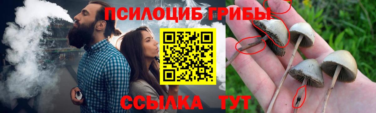 Новоуральск  наркотики  Вход с VPN  Галлюциногенные грибы мицелий 