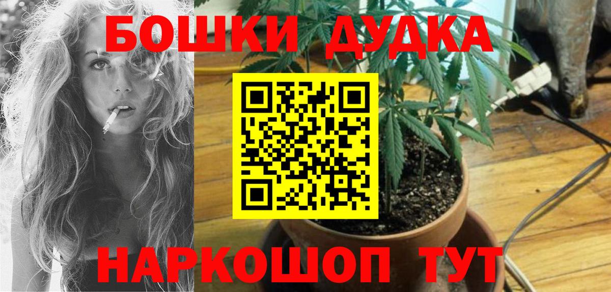 Конопля Bruce Banner  Вход с VPN  Конопля ГИДРОПОН  Бошки марихуана планчик  Новоуральск  Каннабис индика 